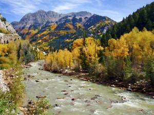Animas River San Juan Mtns. CO.